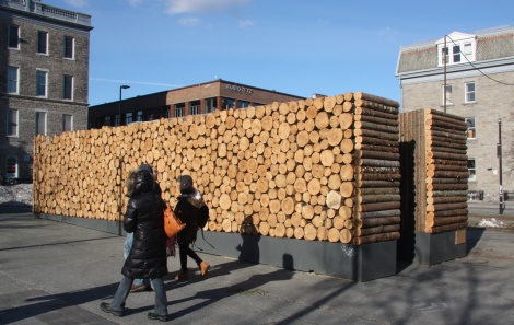 'Dans les bois' installation by Stéphanie Leduc and Manuel Baumann, métro Mont-Royal