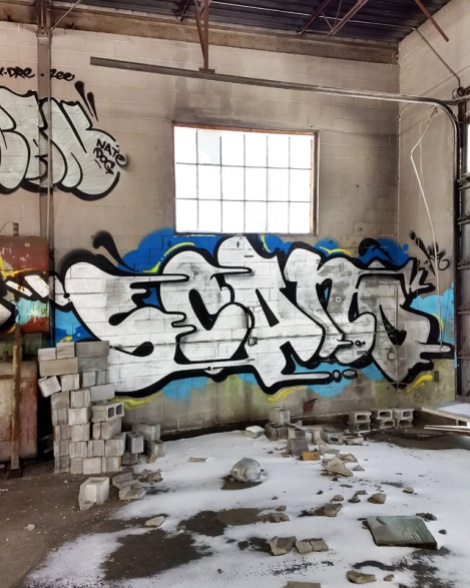 Scaner in an abandoned building