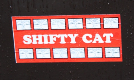 Shifty Cat sticker