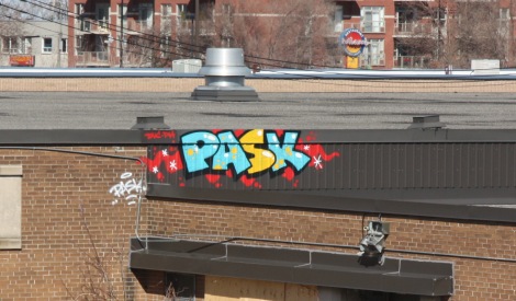 Pask on the roof of an abandoned Rosemont building