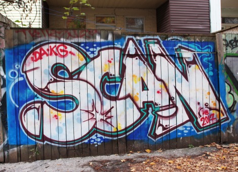 Tribute to Scaner by Meor in a Plateau alley